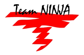 Teamninjalogo.png