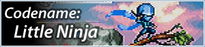 Littleninja banner.png